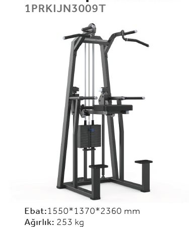 Profitness 3009T Dip/Chin Assist